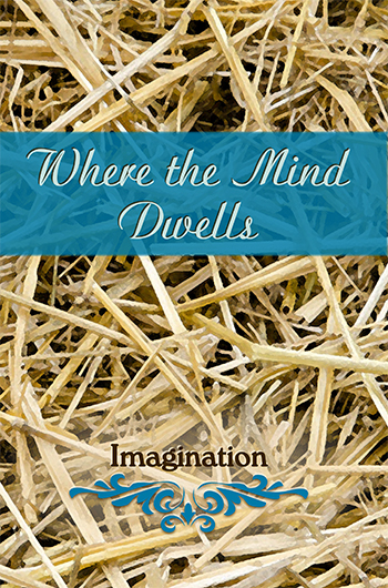Where the Mind Dwells: Imagination