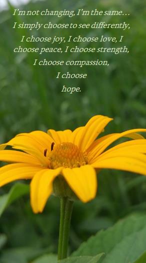 Mindful Optimism
