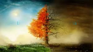 Life and Death