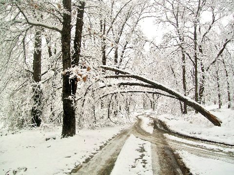 Wonders of Nature