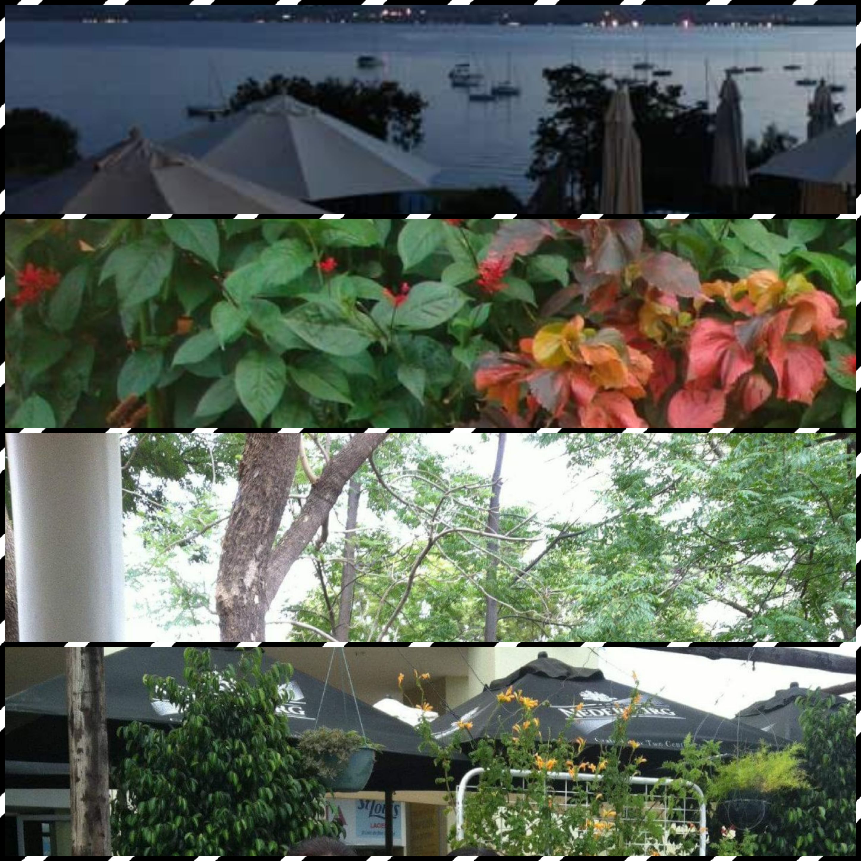 Contrasts and shades of life
