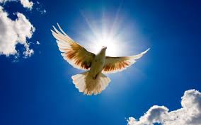 Top Poems for those whom have lost.