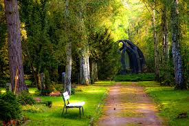 The natural world