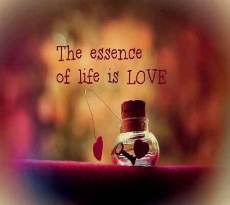Essence of Life