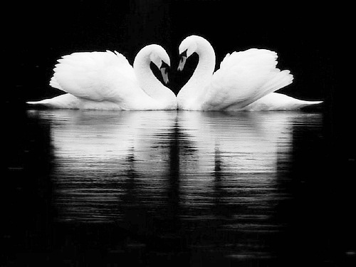 Love from the Heart
