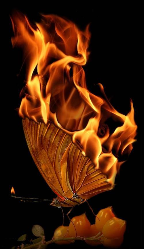 My poems