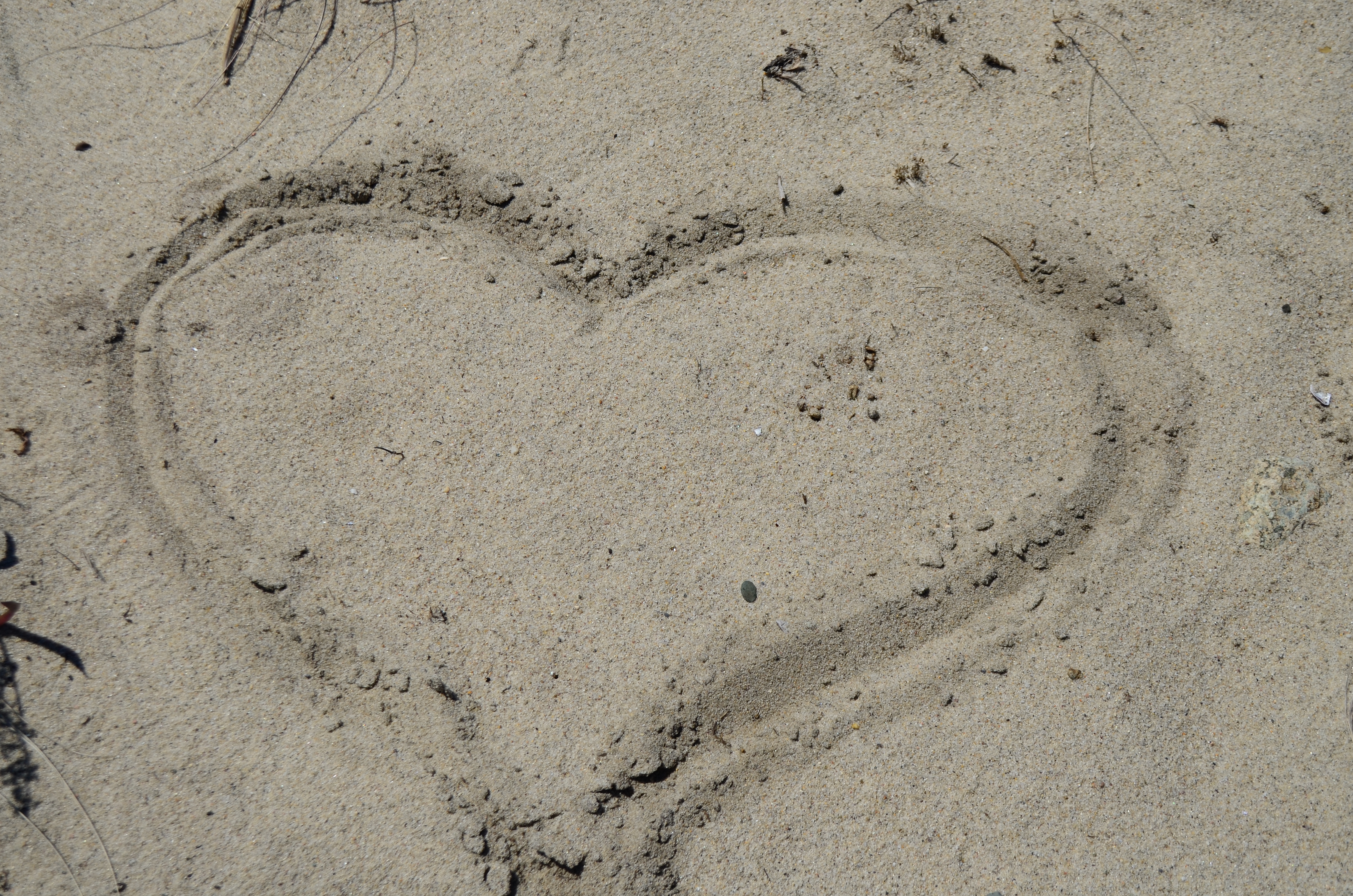 Just say you love me!