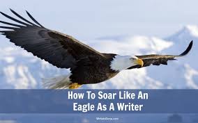 Soaring up the sky of creativity....