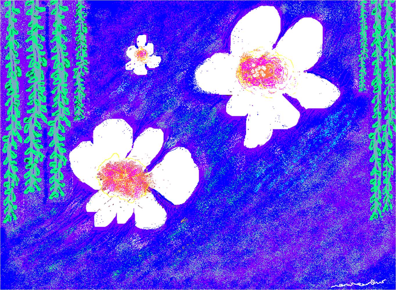 the sound of the heart