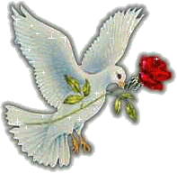 loving heart do forgive