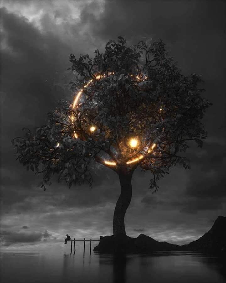 Of Whimsy & Woe
