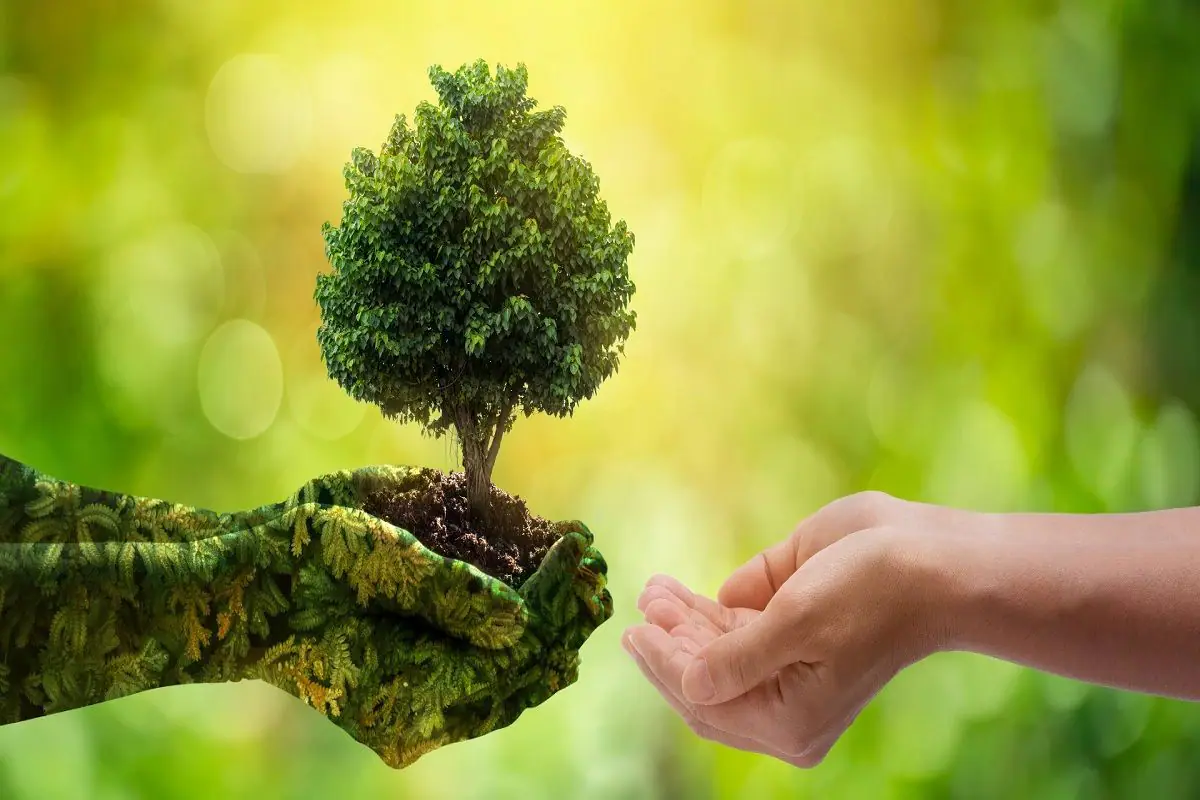 Connecting to Nature & Love