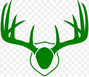 A Green Horn's Journey