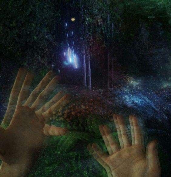 Motions